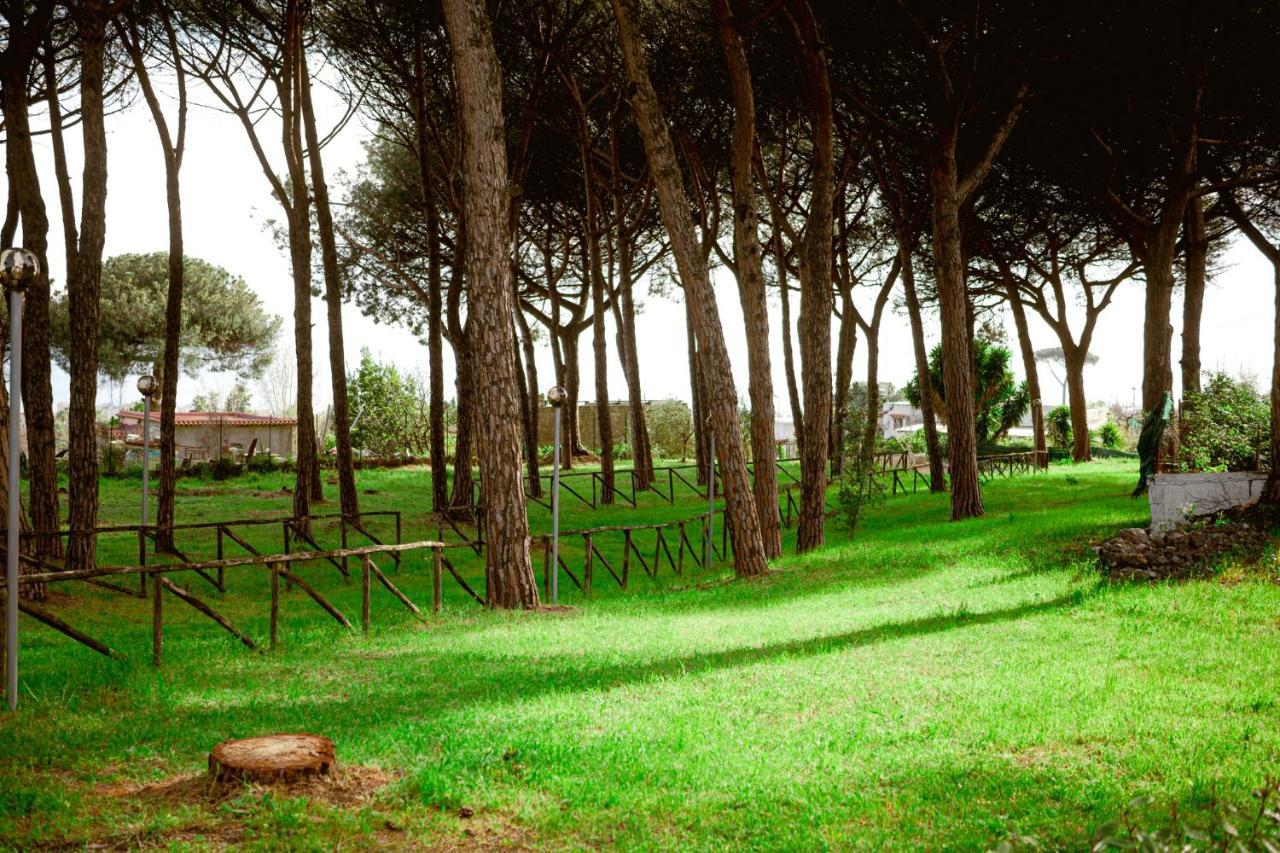 Bosco Mattavona Acomodação com café da manhã Boscotrecase Exterior foto