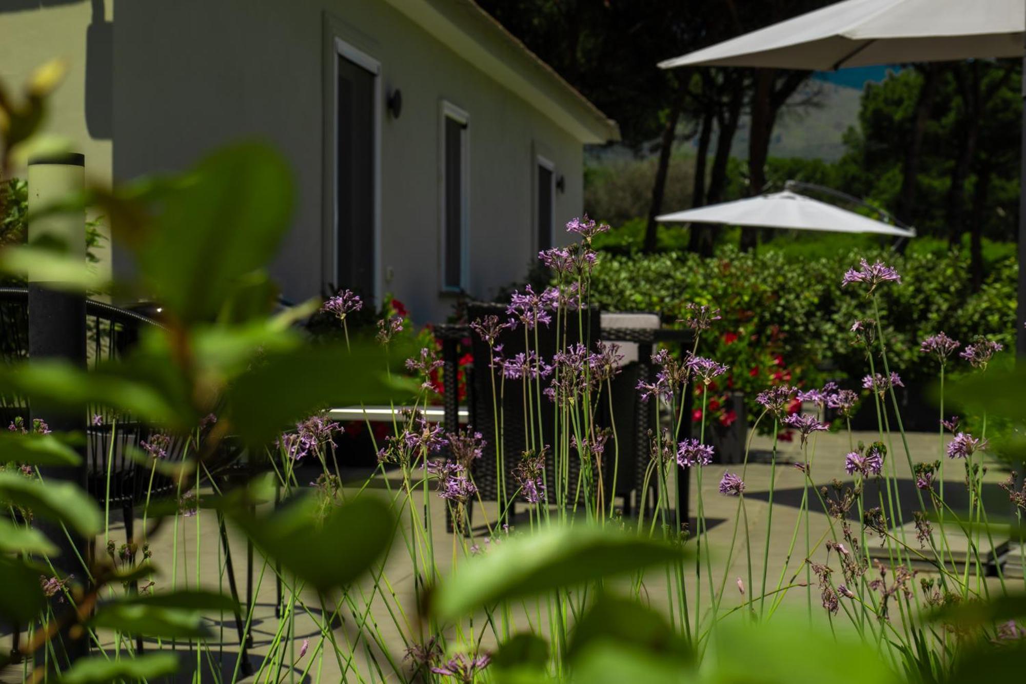 Bosco Mattavona Acomodação com café da manhã Boscotrecase Exterior foto